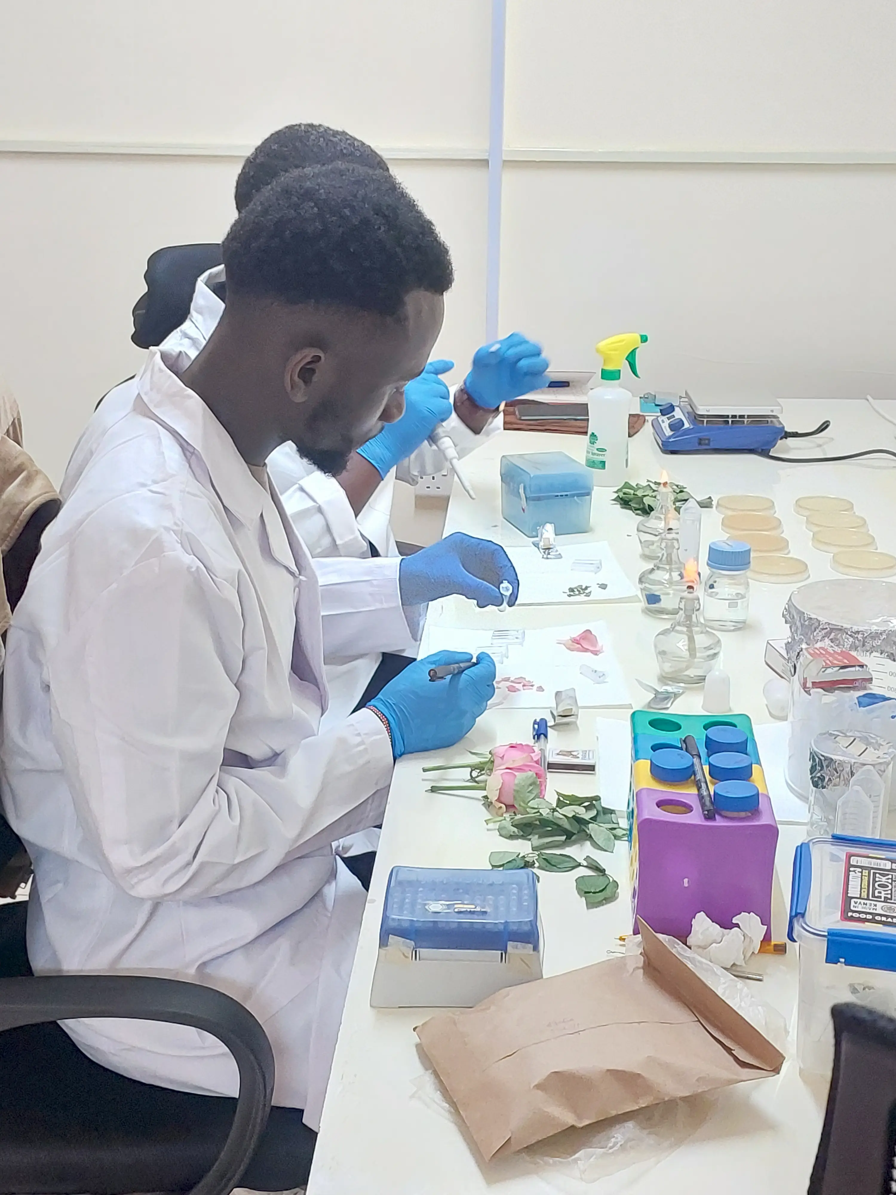 MycroBase Technologies