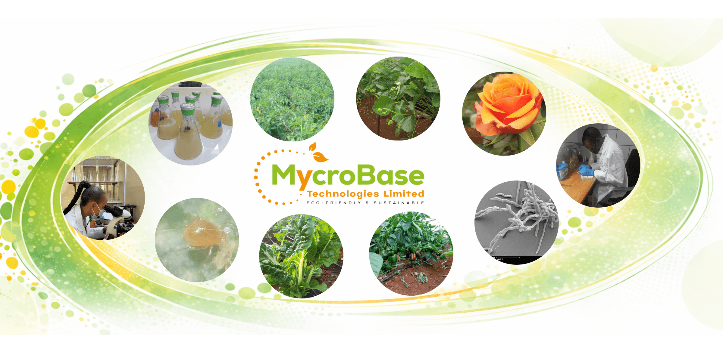 MycroBase Technologies - Biological crop protection research, laboratory work, and sustainable agriculture solutions